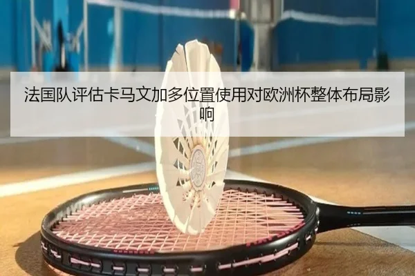 法国队评估卡马文加多位置使用对欧洲杯整体布局影响