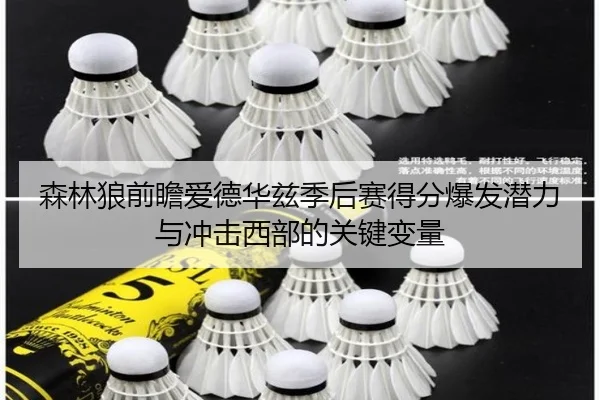 森林狼前瞻爱德华兹季后赛得分爆发潜力与冲击西部的关键变量