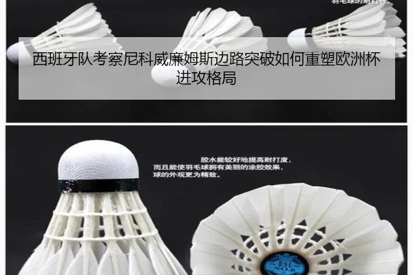 西班牙队考察尼科威廉姆斯边路突破如何重塑欧洲杯进攻格局